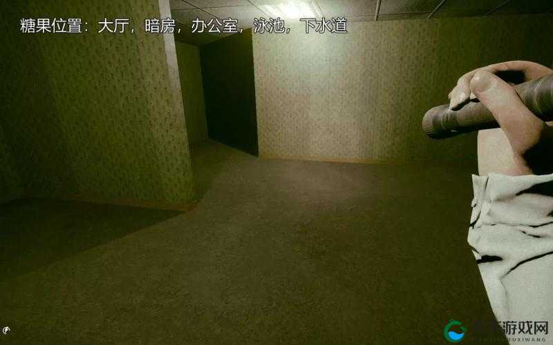 深入后室 20 版本详细解析-全方位多角度深入剖析与探讨