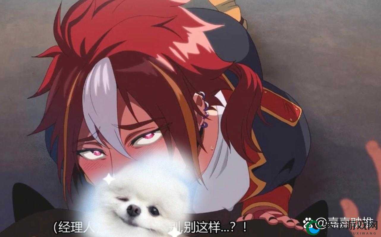 Sana地下偶像未增删带歌词：深度解析偶像背后的故事