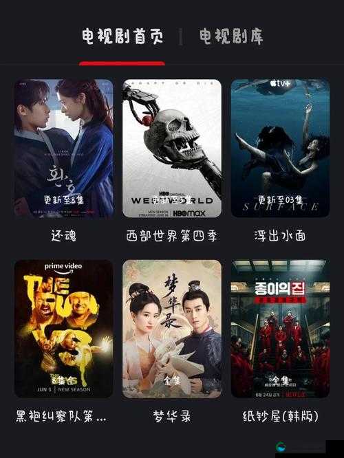 Netflix 免费在线观看:海量精彩影视等您来畅享