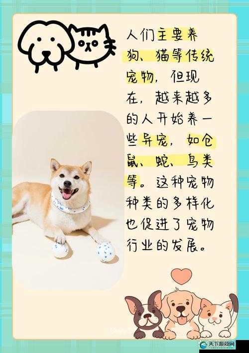 ZOOMSERVO 兽狗剧情解析：深入探讨其背后的故事与内涵