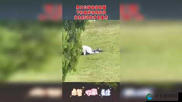 在公园中男生对女生实施了寝犯行为：抱起女生并抽插她的感觉