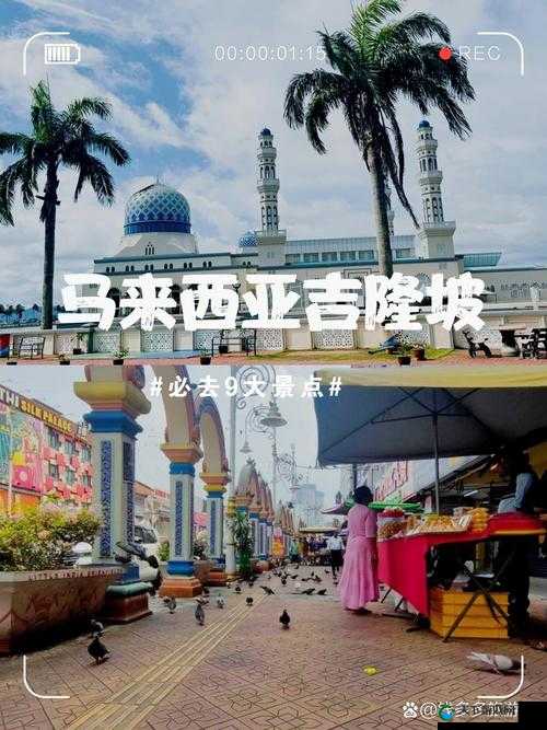 亚欧精品产区：探寻多元文化下的卓越品质与特色魅力