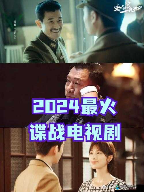最新热门电视剧推荐：片多多，不止精彩