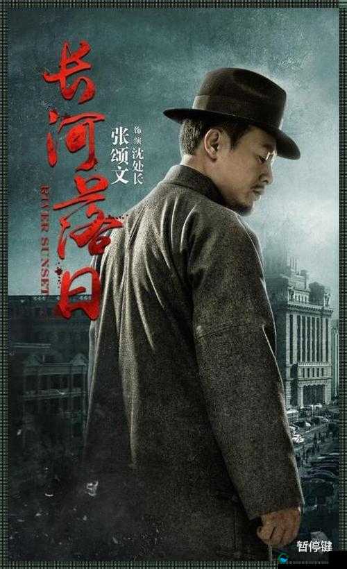 凌晨三点看高清 502 集电视剧：沉浸于超长剧集的静谧时光