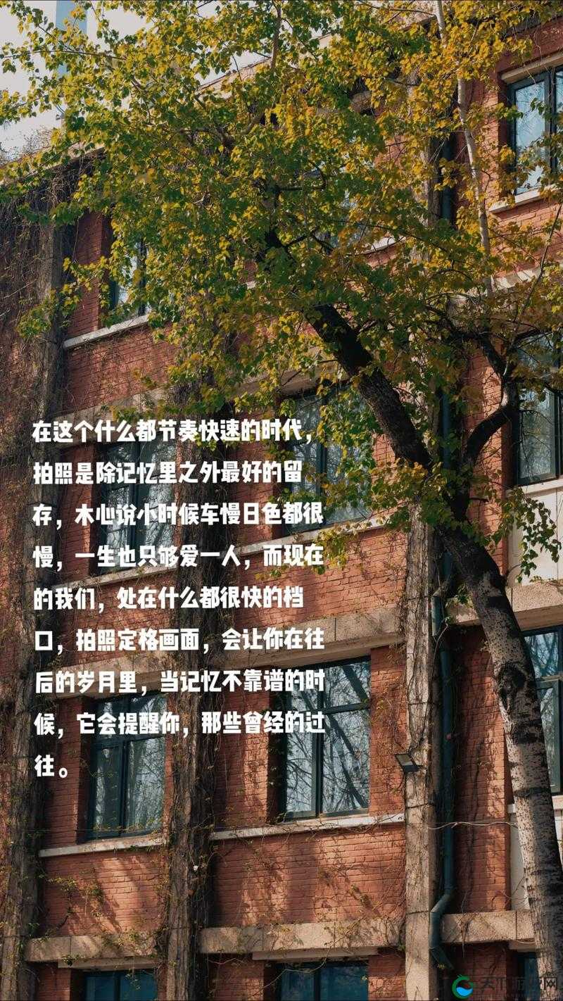 1213 岁的日本 Macbook：承载岁月记忆与独特魅力