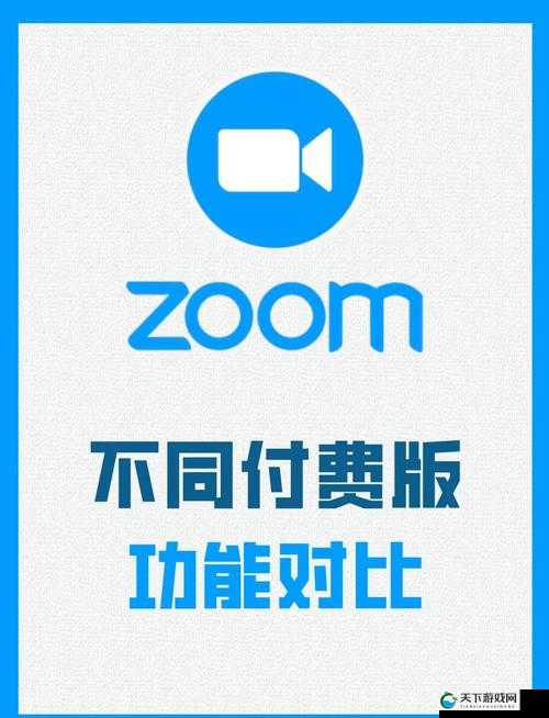 俄罗斯 Zoom 人与 Zoom 哪个好：Zoom 软件对比与选择