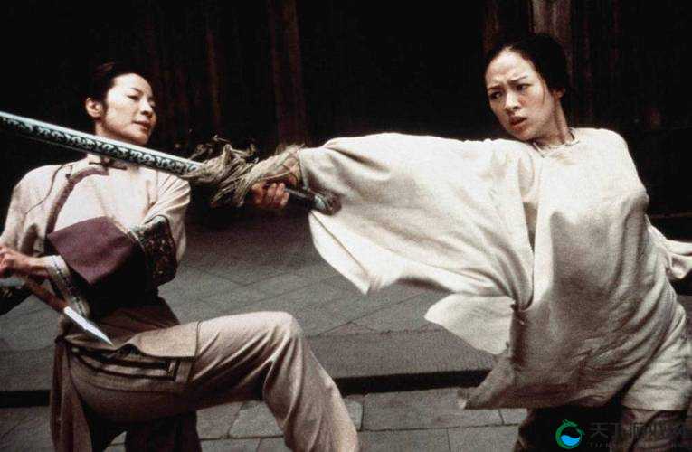 小武大战黄蓉第 1 回：刀光剑影中的江湖恩怨情仇