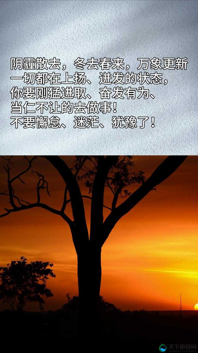 快拔出来我们不可以这样：一段令人深思的情感纠葛