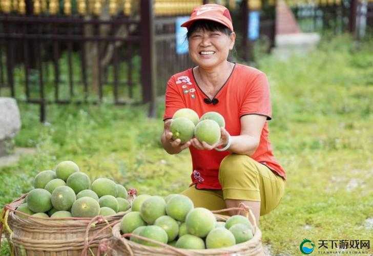 海角大神与妈妈外婆身份之谜究竟为何