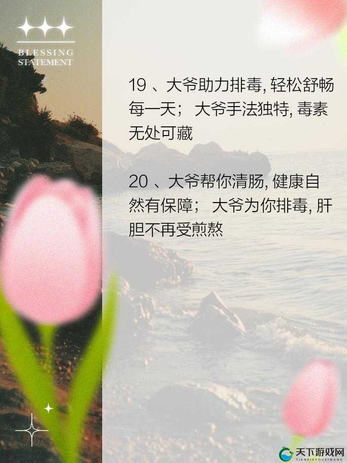 大爷是在帮你排蝳小说之神奇的排蝳之旅与背后的故事