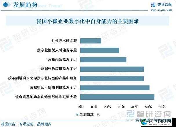 WWWXXⅩ关于其具体内容和详细分析以及未来发展趋势探讨