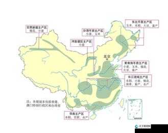 久一线产区 二线产区 三线产区：深度解析其发展差异与未来走向