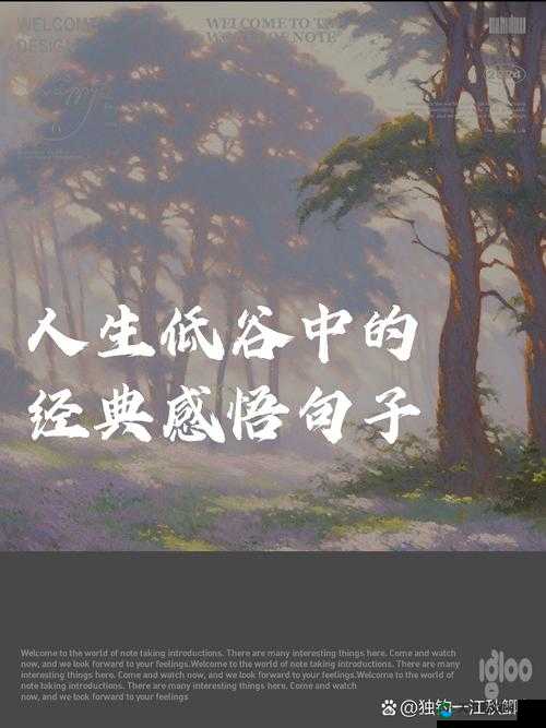 成长的迷思与心得：探寻青春岁月中的成长真谛
