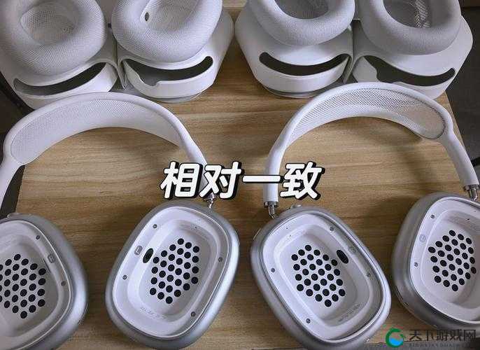 兽 906MAX 和兽 906MAX2 一样吗：深度对比与差异解析