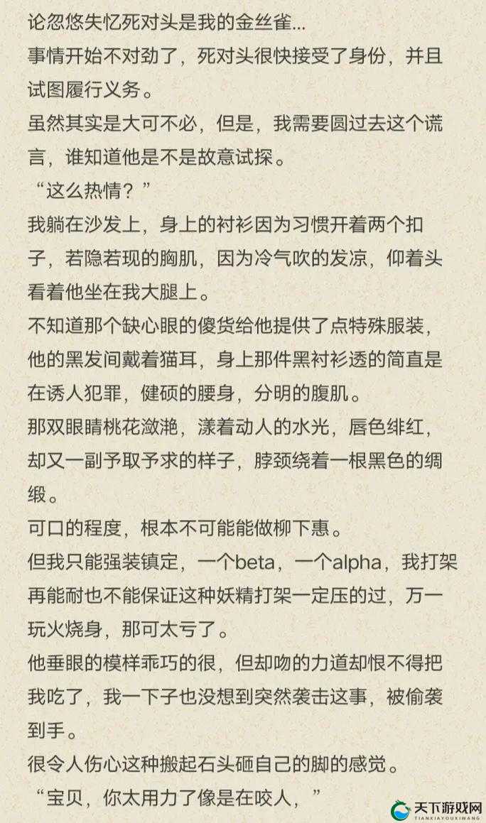 车速超高废文的双男主图片：展现独特魅力与情感纠葛