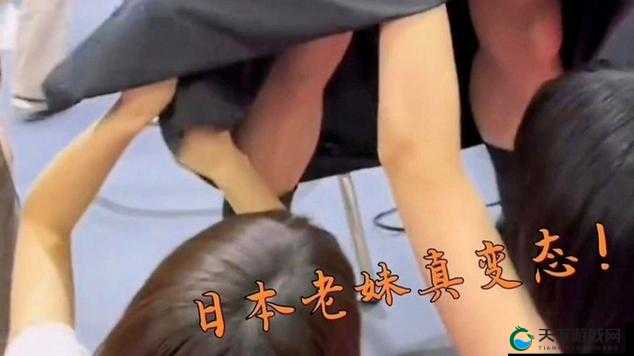 24 小时畅享日本免费播放视频资源