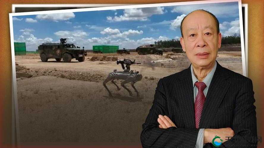 大力内射：探索其在特定领域的深远意义与影响
