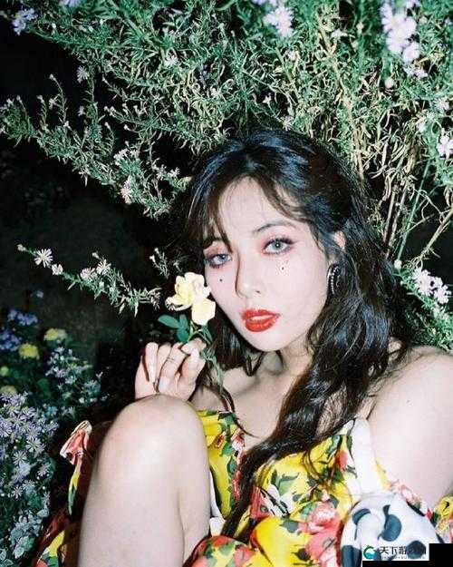 冷淡大美人又被爆炒-为何总是引发广泛关注和热议