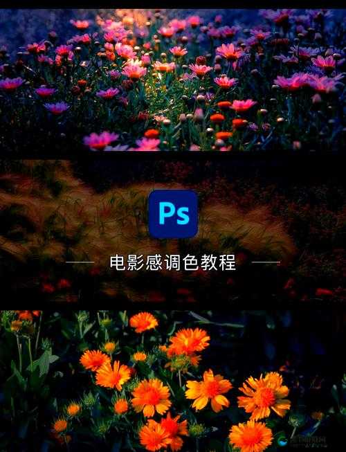 免费Ps一二级调色大片：打造惊艳视觉效果的秘诀