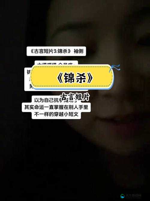 女主 1v6 有兄弟俩之精彩情感纠葛与复杂关系探秘