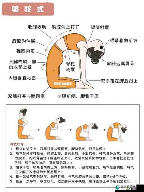 伽罗ちゃんが腿法意思：关于伽罗ちゃん腿法的深入探讨与分析