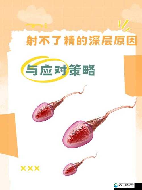 药效 1V2HPO 如何选择：深度解析与最佳策略探讨