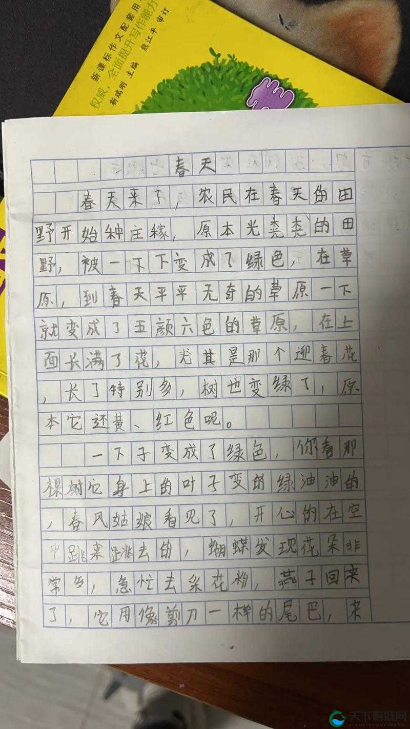 小草 2024 回家不迷路是我们共同的心愿和期盼