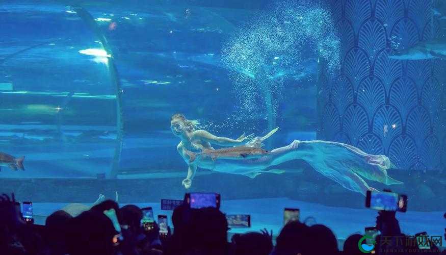 蝌蚪窝久久:探寻神秘水下世界的奇妙之旅