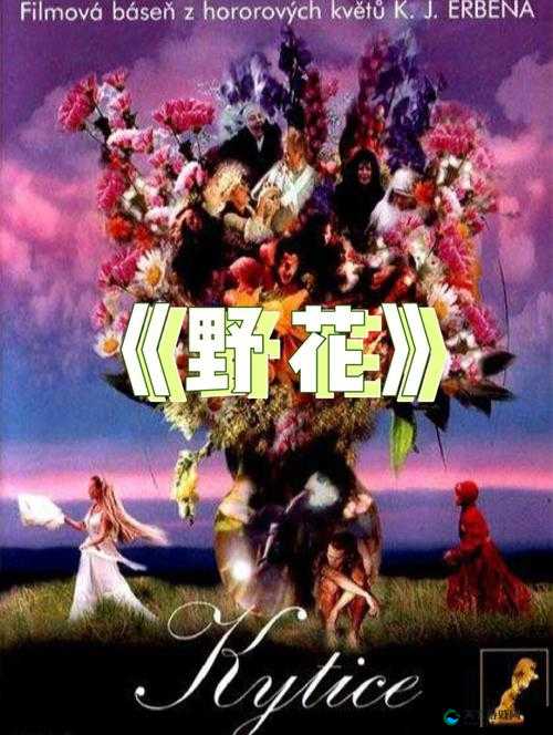 野花韩国高清免费神马百度：带来精彩影视内容体验