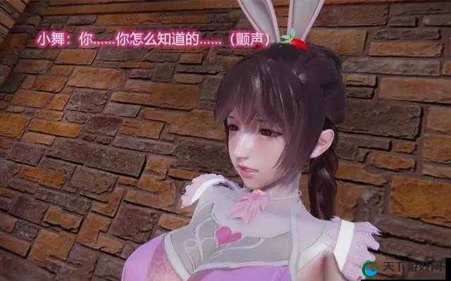 可以插小舞的模拟器游戏:畅享与小舞的奇妙互动之旅