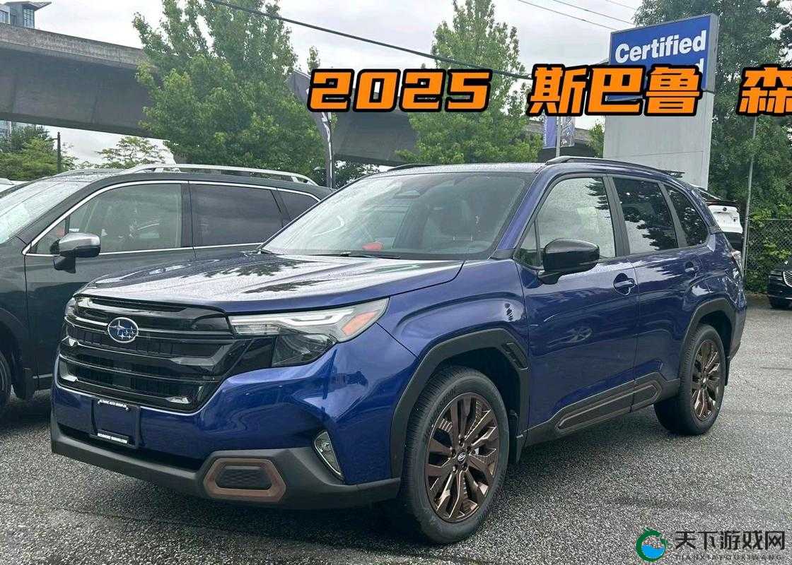 欧美日韩精品 SUV：畅享极致驾驶体验与品质魅力之旅