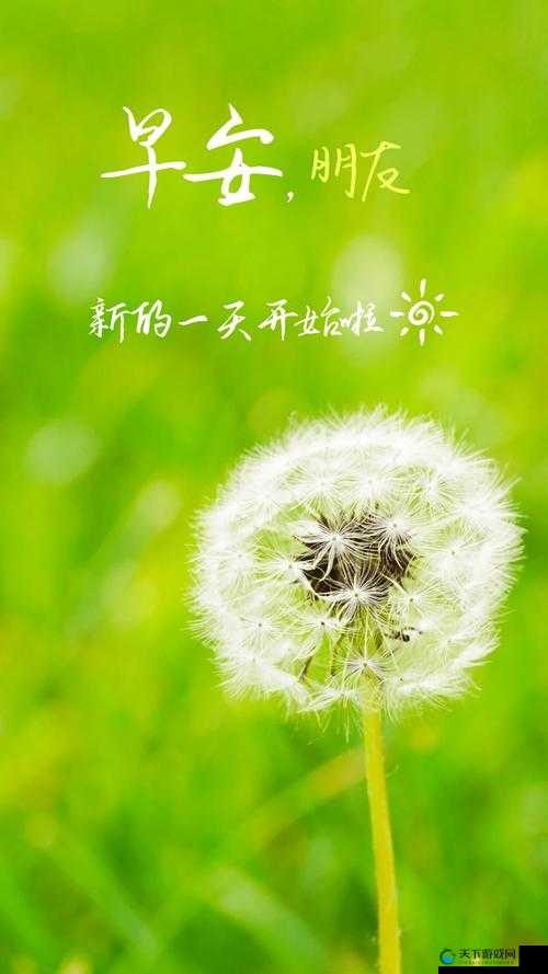 直接进入正能量网站，畅享积极向上的精彩世界