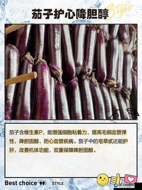 第一次用茄子的新奇体验与感受