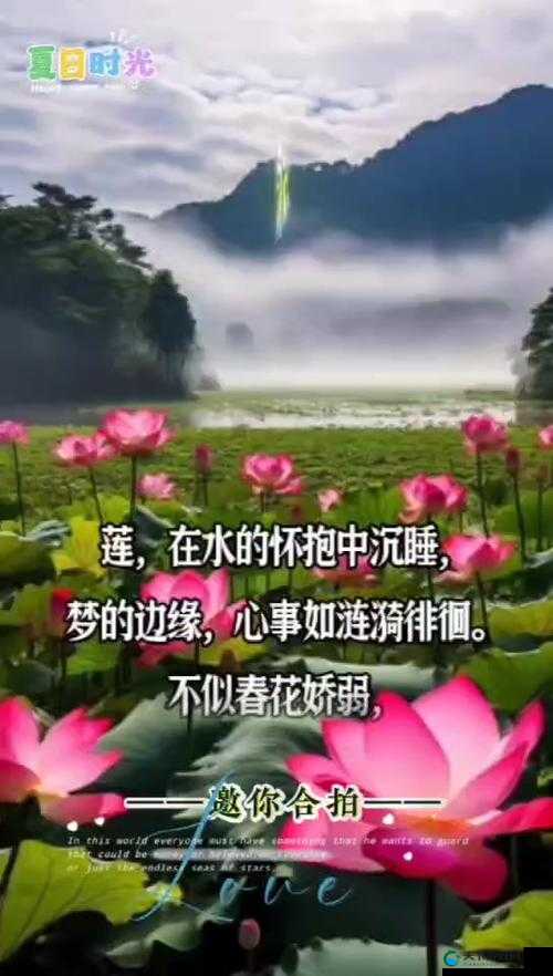 女子半夜莲花开是不是刚做过:对此现象的深入探讨与分析