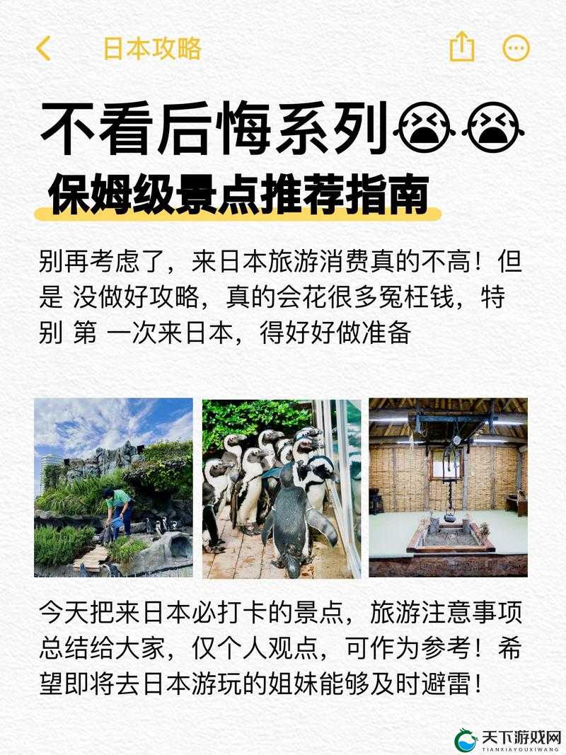 日本综合一区：全方位展示日本多元文化与特色风情