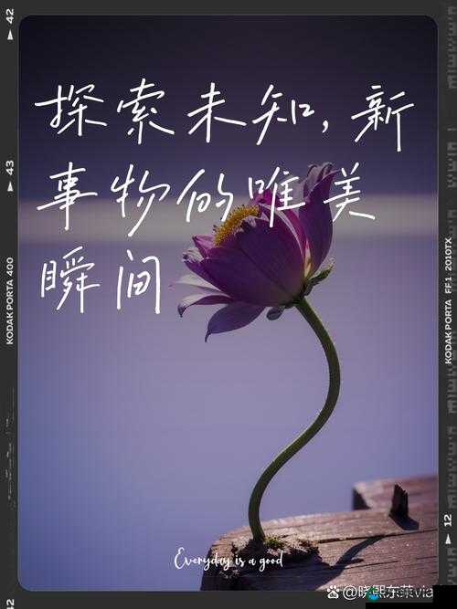 探索未知的世界：以色约约网站入口带你领略别样的精彩