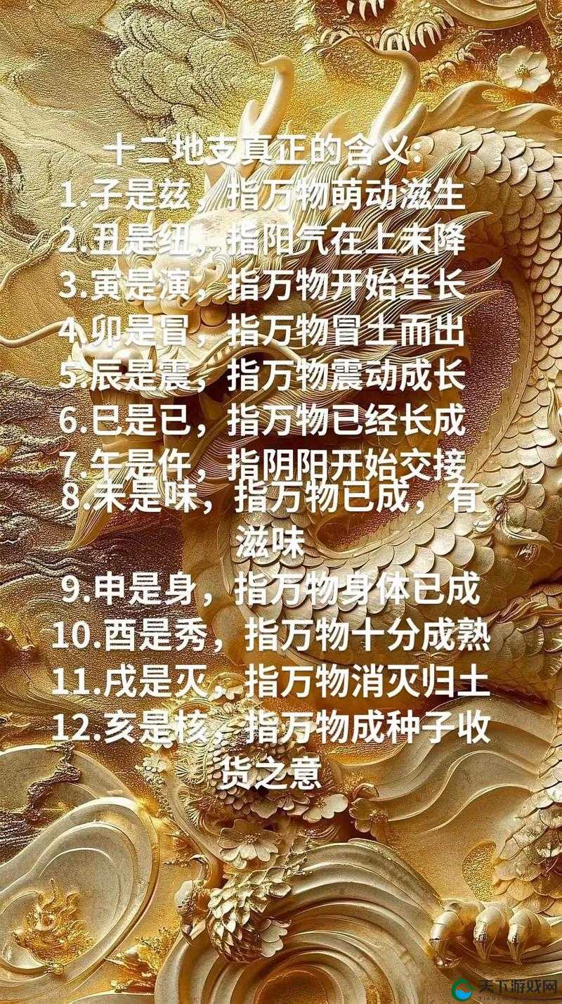 节之交未增减 3：关于其含义与影响的深入探讨