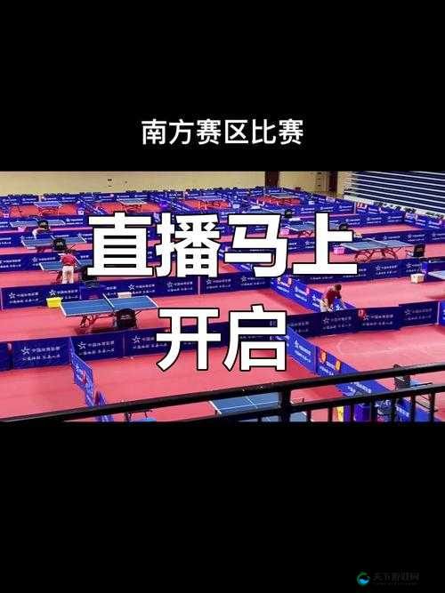 看免费真人直播网站：超多精彩内容等你来发现