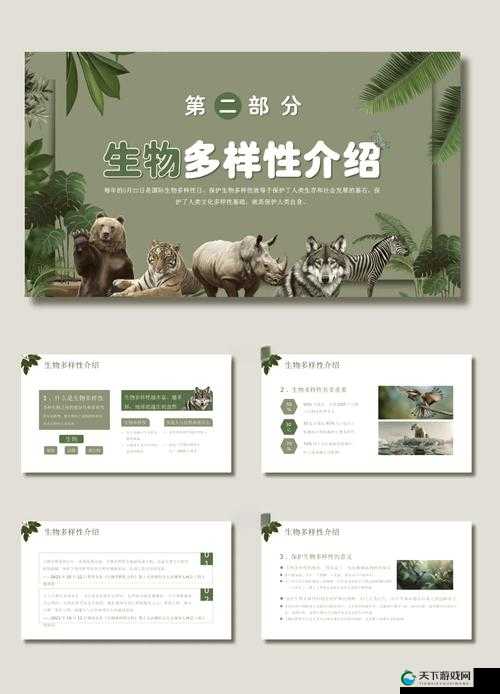 人与动物 ppt 免费模板：探索人与动物的和谐共处奥秘