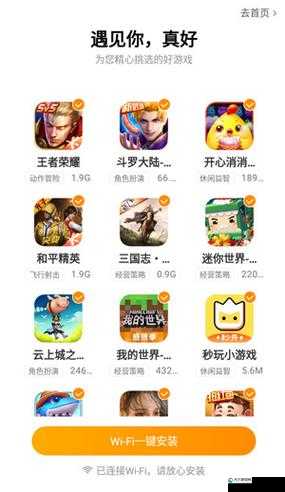 软件下载 303 免费 vivo 版破解大全苹果：各类软件资源一站尽享