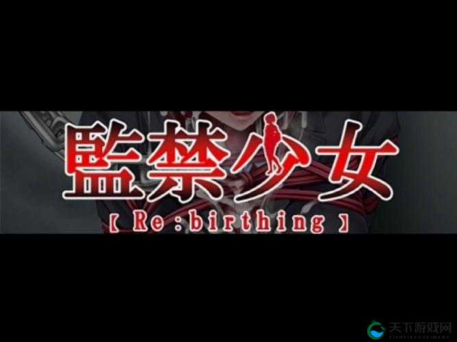监禁少女：黑暗牢笼中的青春与挣扎的秘密历程