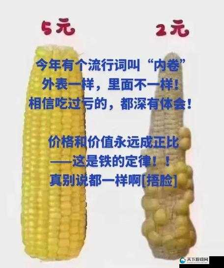 爷爷的蘑菇头好吃吗：一段关于美食的独特记忆