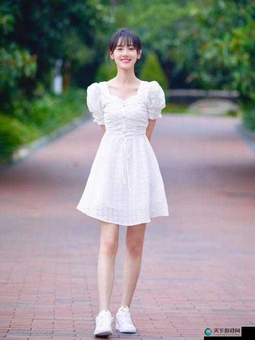 白衣校花与大长腿小说：一段扣人心弦的青春爱恋传奇
