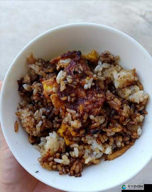 sana 的做到饭糊：一次令人捧腹大笑的烹饪经历