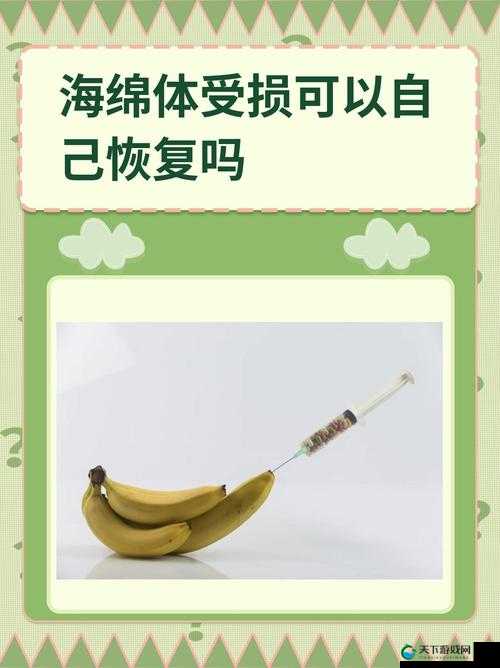 用手过度的海绵体受损怎么恢复:日常生活中的注意事项与恢复方法