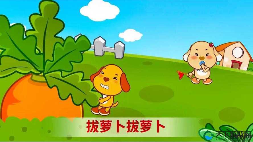 我和伴侣在田园体验拔萝卜的二人世界