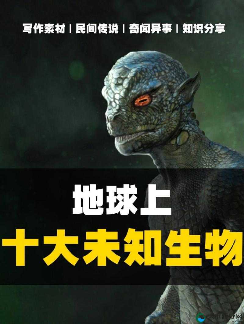 porin141516:探索其背后的神秘未知世界