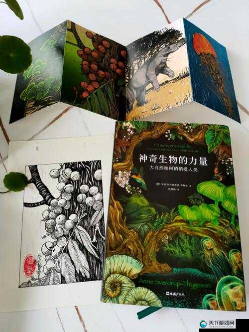 17c 一起槽国卢官网：探索未知的奇妙世界