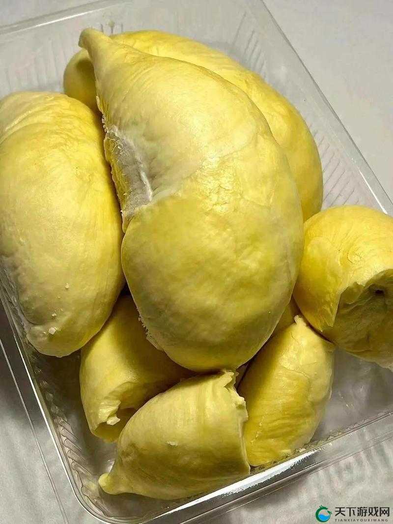 LL999 榴莲让你流连忘返:品尝美味的绝佳选择