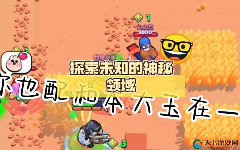 无人公园的狂野内存有多大：探索未知的神秘领域